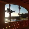 peggyhelm0 - @peggyhelm0 - TikTok