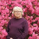 Peggy Hermann - @peggy.hermann.79 - Instagram