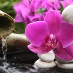 Peggy Hermann - Facebook