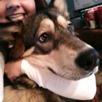 Peggy Hermann - @herpeg73 - Instagram