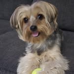 Peggy Higdon - @peggyjohigdon - Instagram