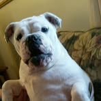 Peggy High - Facebook