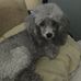Gary Highfield - Facebook