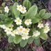 Margaret Highfield - Facebook