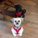 Peggy Hildreth - Facebook