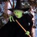 Peggy Hildreth - Facebook