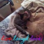 Peggy Holcomb - @peggy.holcomb.712 - Instagram