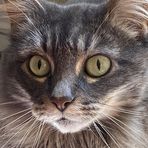 Peggy Holmes - Facebook