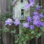 Peggy Holmes - Facebook