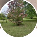Peggy Holton - @pepil33498 - Instagram