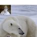 Peggy Hook - Facebook