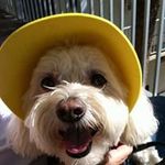 Peggy Howe - @phowe1013 - Instagram