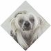 Peggy Hurst - Facebook