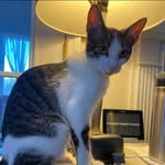 Peggy Hurst Frese - @pegf123 - Instagram