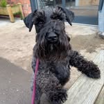Peggy Pankhurst - @peggy.pankhurst - Instagram