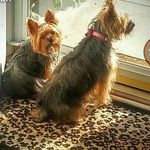 Peggy Ingle - @ingle.peggy - Instagram
