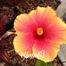Peggy Iverson Gottsacker - Facebook