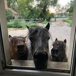 Peggy Jäckle - @peggy_jackle - Instagram