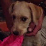 Peggy Jacob - @peggy.jacob.121 - Instagram