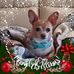 Peggy Jacobs - Facebook