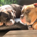 Peggy Jacobs - @peggy_jacobs - Instagram