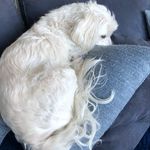 Peggy Jacobs - @peggyjacobs4652 - Instagram