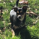 Peggy Ilene Jansen - @peggyilene - Instagram