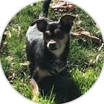 Peggy Ilene Jansen - @nalas72707 - Instagram