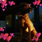 Peggy Jonas - Facebook