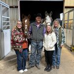 Peggy Sue Jorgensen - @jorgensenpeggy - Instagram