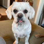 Peggy Kay-9 - @peggy_030725 - Instagram