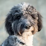 Peggy Kay Rauch - @adventuregalpeggy - Instagram