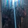 PeggyKay<3 - @its.me.peggy_kay0 - TikTok