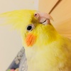 Peggy - @peggypeeggy - TikTok