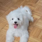 Kelly Peggy - Facebook