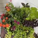 Peggy Campbell-Kessler - Facebook