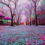 Peggy Kessler - Facebook