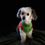 Peggy Kessler - @kessler288 - Instagram