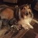 Peggy Key - Facebook