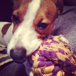 Peggy - @peggy_keys - Instagram