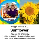 Peggy Williams - @peggy_williams_ - Instagram