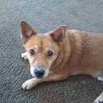 Peggy Kirkman - @peggy.kirkman.376 - Instagram