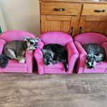 @hermanpeggyklaus - Instagram