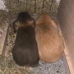 Klaus and Peggy - @klausandpeggy - Instagram