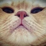 Peggy Kwan - @peggykwan211 - Instagram