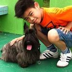 Peggy Kwan - @peggy.kwan.927 - Instagram