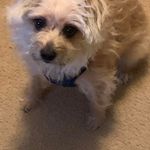 Peggy Laney - @peggylaney77 - Instagram