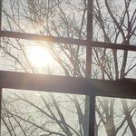 Peggy Lauer - @lauerpeggy - Instagram