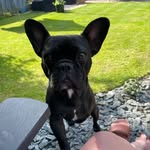 Peggy Lawson - @peggy.lawson.21 - Instagram