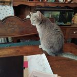 Peggy Lawson - @lawson_peggy - Instagram